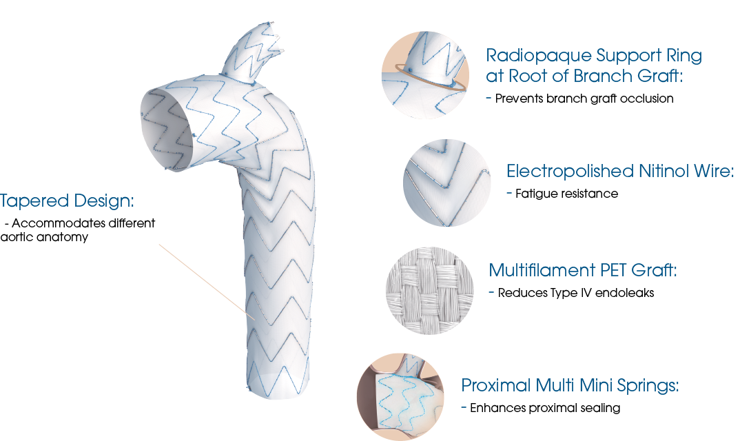 Castor - TEVAR Proximal multi mini springs