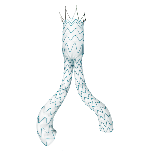 Minos™ - EVAR