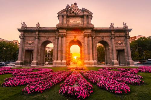 Aortic Arch Excellence Forum