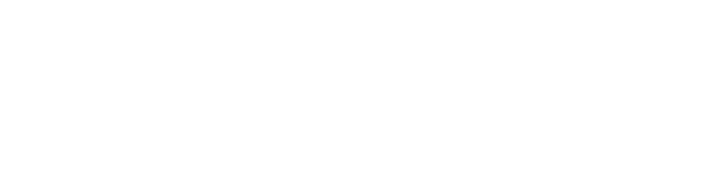 Micro Port
