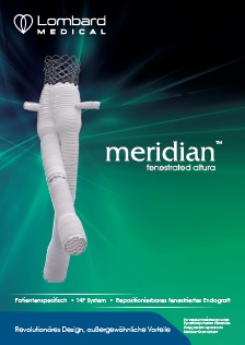 Meridian Brochure (German)