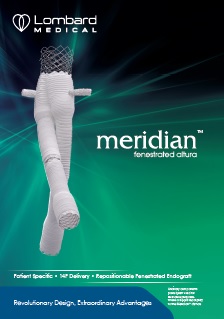 Meridian Brochure (English)