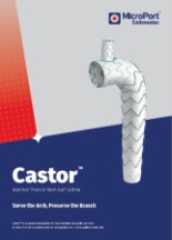 Castor Brochure (English)