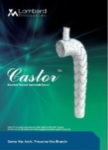 Castor Brochure (English)