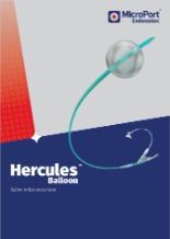 Hercules Balloon Brochure (German)