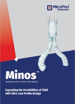 MRI Information Minos