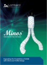 Minos Brochure (English)