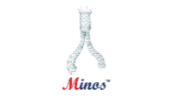 European launch of Minos™ EVAR stent graft